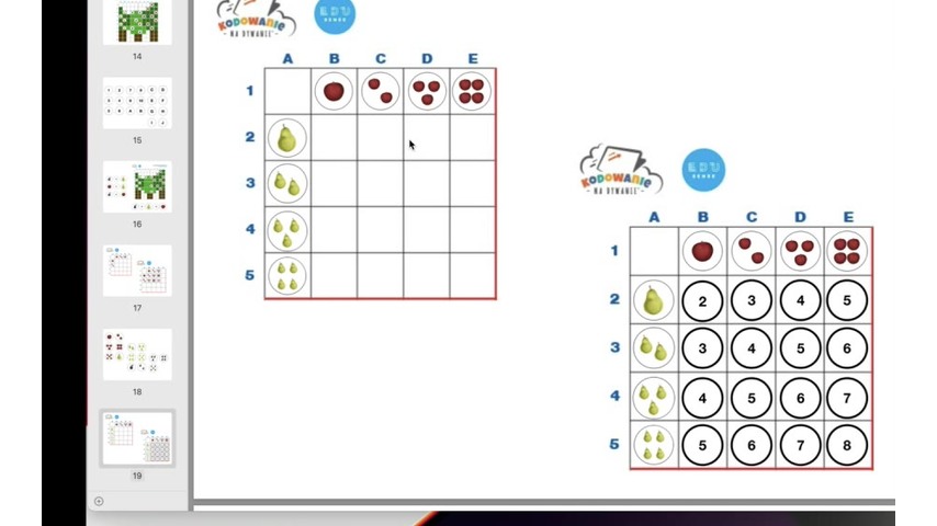 Kadr z nagrania webinaru