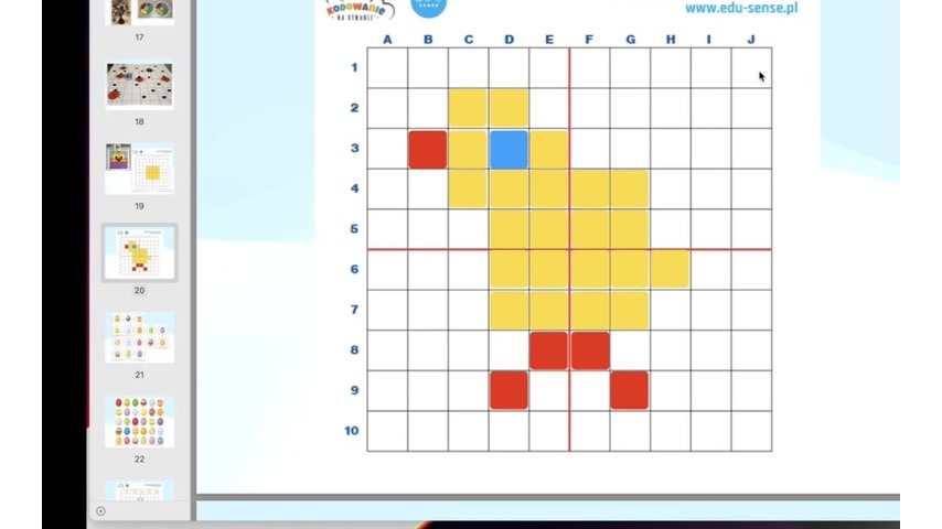 Kadr z nagrania webinaru